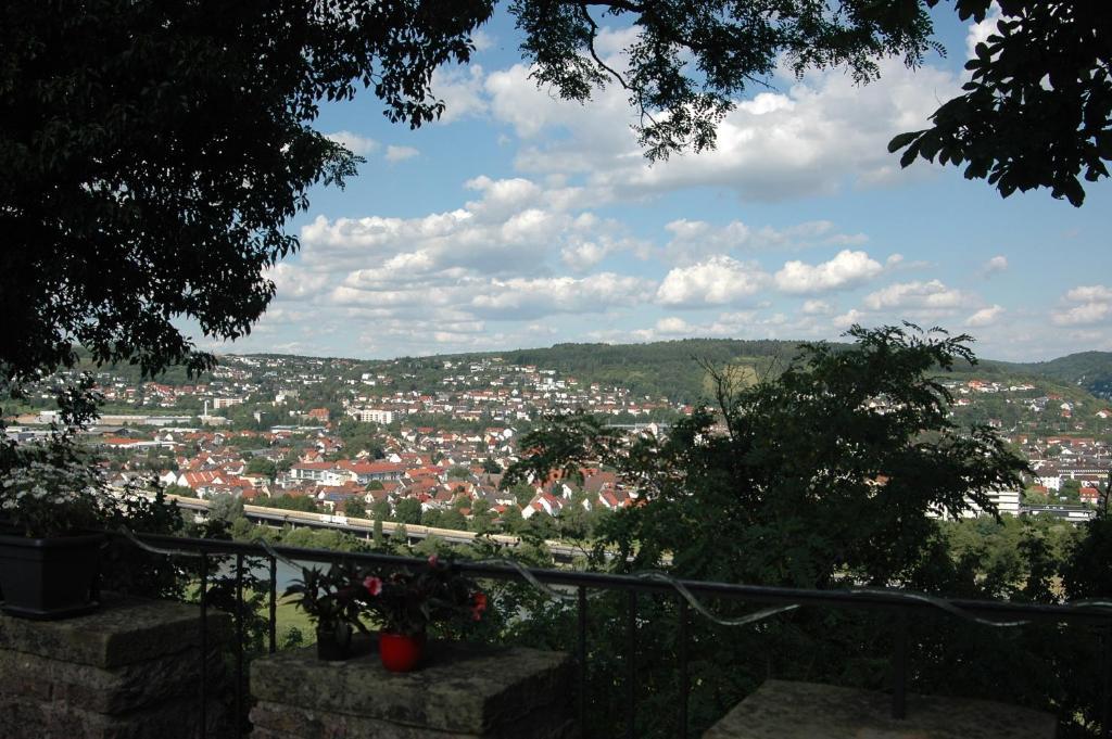 Hotel Schloss Neuburg Mosbach  Exterior foto
